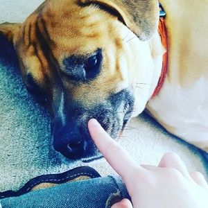 Meet your Posher, Brenna